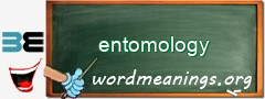 WordMeaning blackboard for entomology